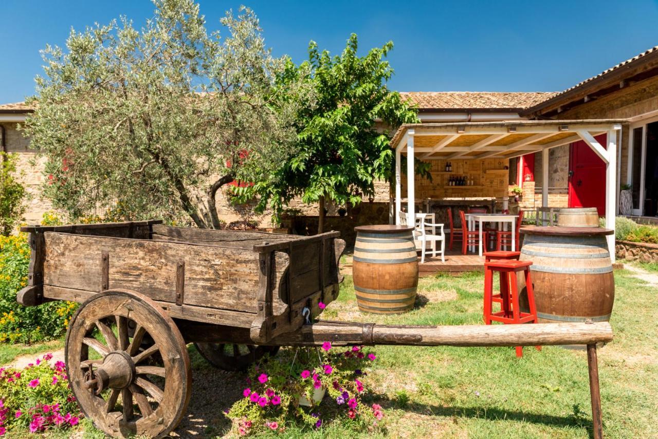 Bed and Breakfast Il Barbagianni à Montepescali Extérieur photo