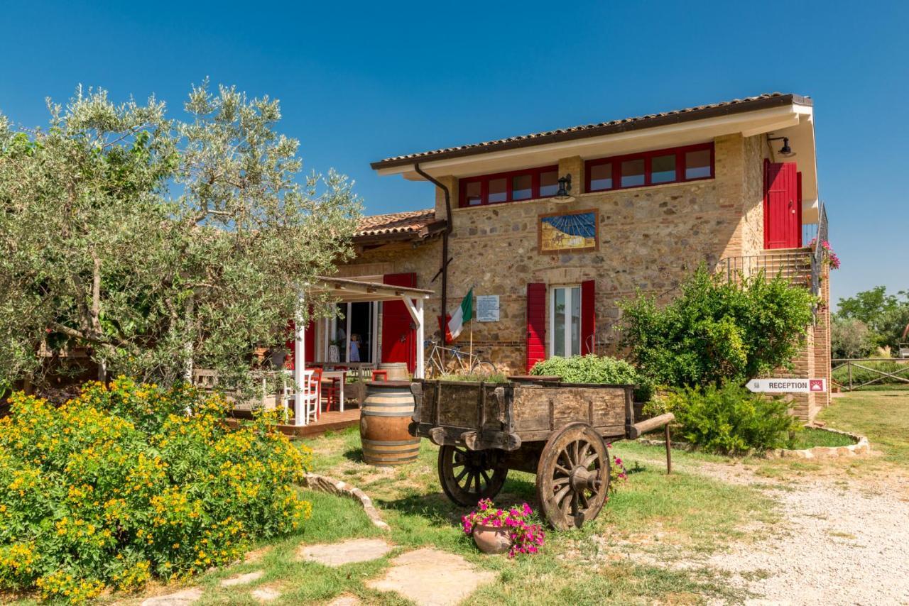 Bed and Breakfast Il Barbagianni à Montepescali Extérieur photo