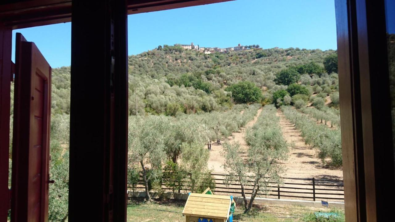Bed and Breakfast Il Barbagianni à Montepescali Extérieur photo