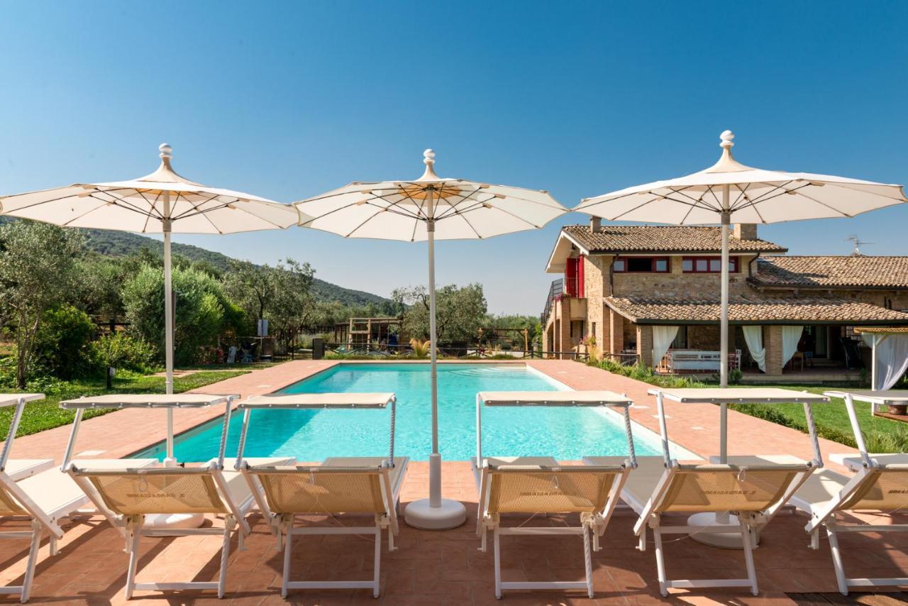 Bed and Breakfast Il Barbagianni à Montepescali Extérieur photo