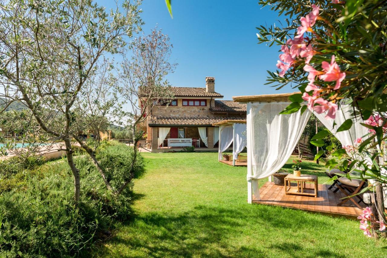 Bed and Breakfast Il Barbagianni à Montepescali Extérieur photo