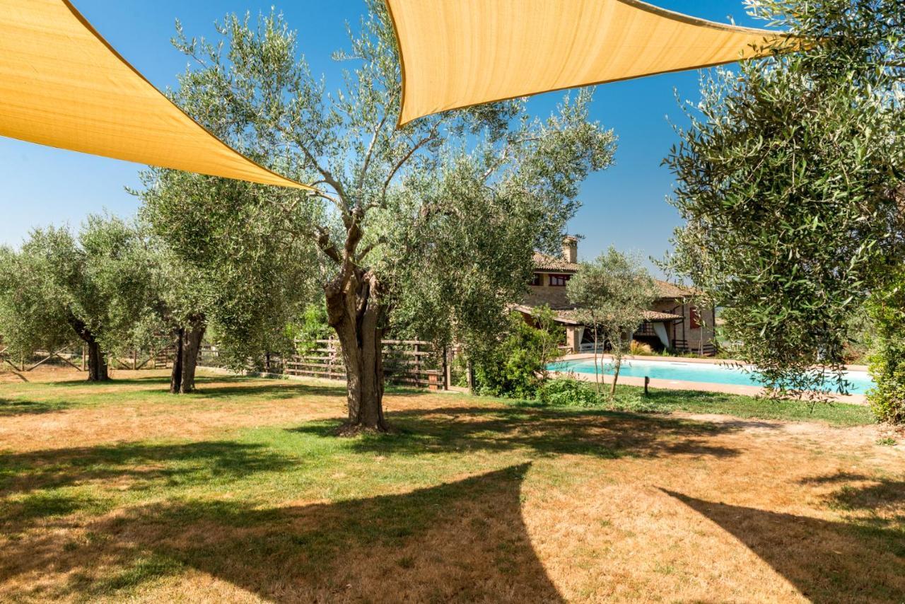 Bed and Breakfast Il Barbagianni à Montepescali Extérieur photo