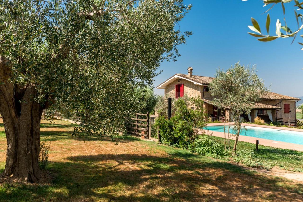Bed and Breakfast Il Barbagianni à Montepescali Extérieur photo