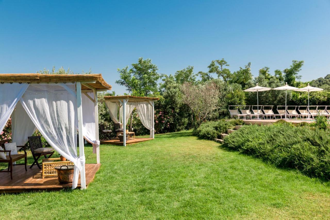 Bed and Breakfast Il Barbagianni à Montepescali Extérieur photo