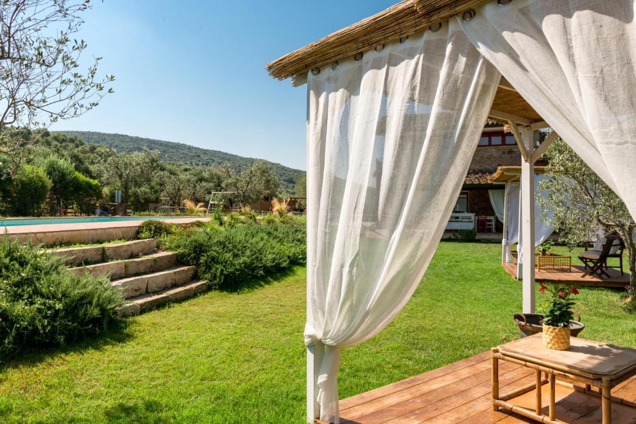 Bed and Breakfast Il Barbagianni à Montepescali Extérieur photo